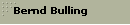 Bernd Bulling
